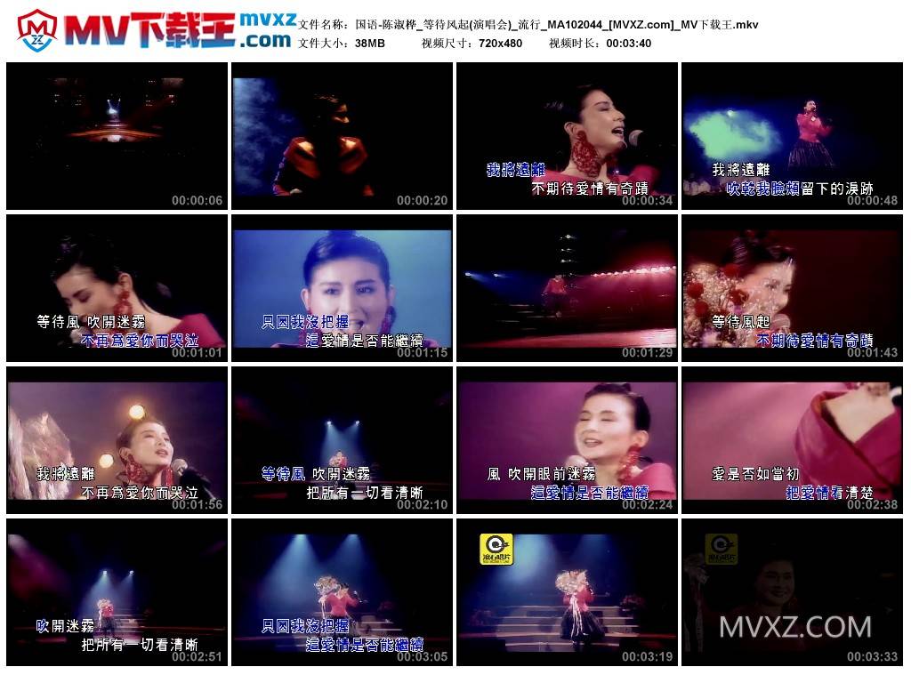 国语-陈淑桦_等待风起(演唱会)_流行_MA102044